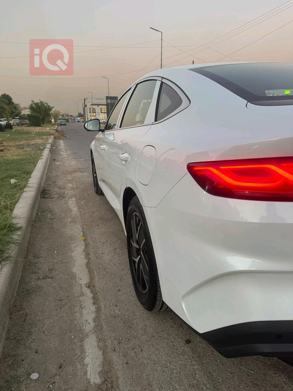 بي واي دي كوين L DM-i